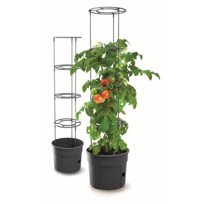 8. TOMATO PLANTING POT WITH LADDER CAPACITY 12L