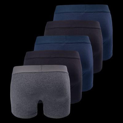 Men’s Boxer Shorts RAVOR 5-Pack