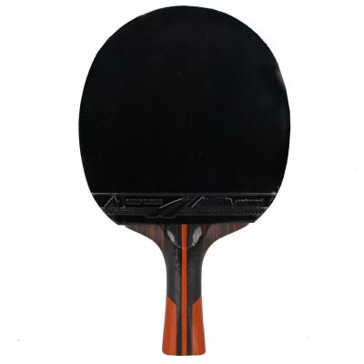 4. Aurora PRO 6* SG 6002 P-Pong Racket