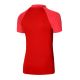 2. Nike Dri-FIT Academy Pro M DH9228-657 Polo
