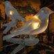 12. SOLAR LAMP GARLAND GARDEN PARTY LIGHT BIRDS 5LED