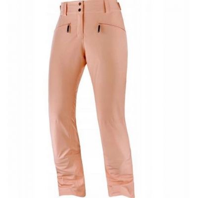 3. Salomon EDGE Snowboard Pants W LC1387 400