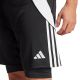 11. adidas Tiro24 2in1 M IJ5605 shorts