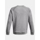 12. Under Armor Fleece Crew M 1379755-025 sweatshirt