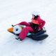 24. Meteor Penguin 16763 snow slide