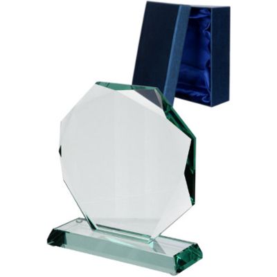 4. Glass trophy with case
