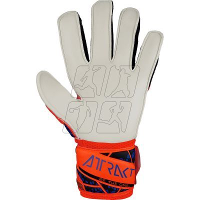 2. Reusch Attrakt Infinity Solid Junior Jr 54 72 515 2210 gloves