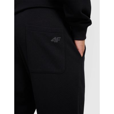 6. Men's jogger sweatpants 4F 4FRAW25TTROM1671-20S