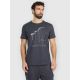 Men's regular printed T-shirt 4F 4FRAW25TTSHM3845-22S