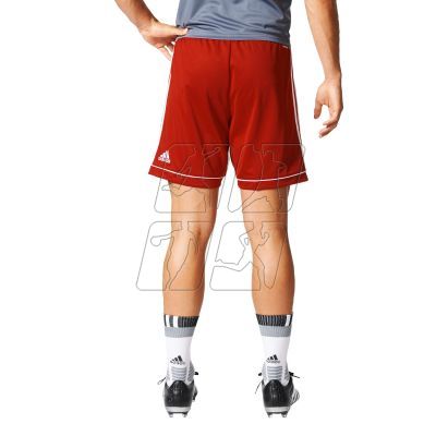 8. Adidas Squadra 17 M BJ9226 football shorts