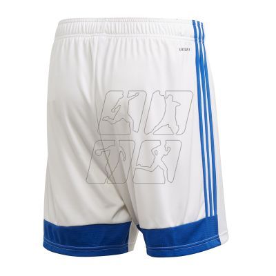 2. Adidas Tastigo 19 M FL7789 shorts