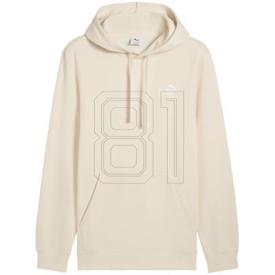3. Puma ESS Small No.1 Logo Hoodie FL M 682575 87