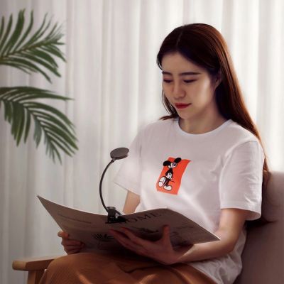 10. Baseus mini LED lamp with clip gray (DGRAD-0G)