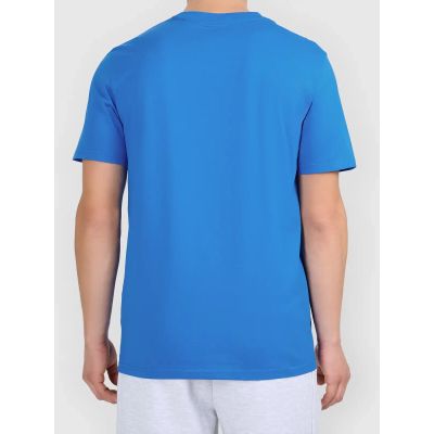 2. Men's printed T-shirt 4F 4FWAW26TTSHM3578-33S