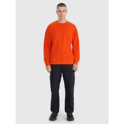 6. Men's sweatshirt without zipper and hood 4F 4FRSS25TSWSM2179-70S