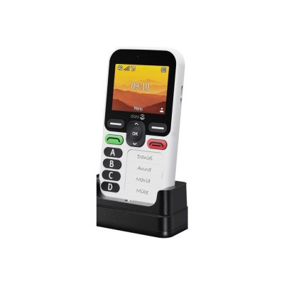 10. Doro Leva X10 6.1 cm (2.4") 117 g Black, White Phone for seniors