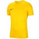Nike Park VIII Junior T-shirt HV8182-719