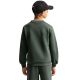 2. Nike Sportswear Club Fleece Kids' Sweatshirt, Dark Green FD3006 305