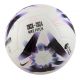 2. Football Nike Premier League Pitch FB2987-101