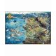 2. Puzzle Good Loot: The Witcher - The Northern Realms Map, 1000 pieces