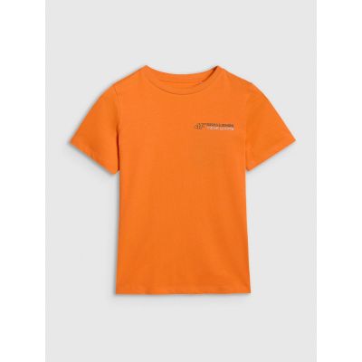 8. Boy's regular printed T-shirt 4F 4FJWAW25TTSHM2415-70S