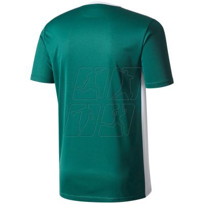 2. T-shirt adidas Entrada 18 Jr. CD8358