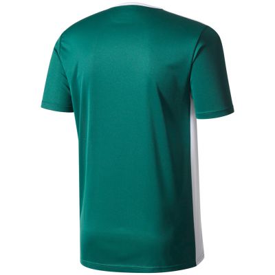 2. adidas Entrada 18 Jr T-shirt CD8358