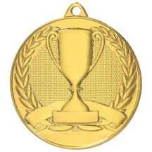 Overall gold medal with cup