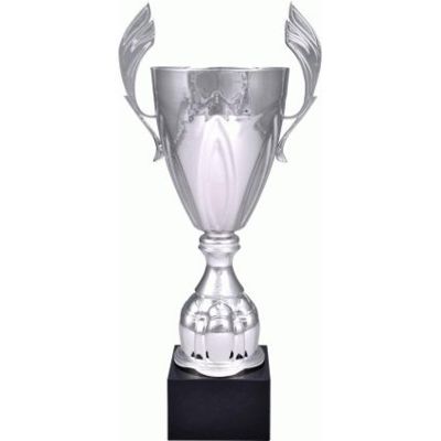 9. Silver metal cup 4127D