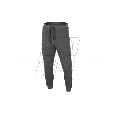 Trousers 4F M H4Z22-SPMD351 dark gray melange