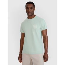 Men's regular printed T-shirt 4F 4FWSS25TTSHM1980-47S