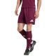 Men's adidas Entrada 26 burgundy shorts JZ2514