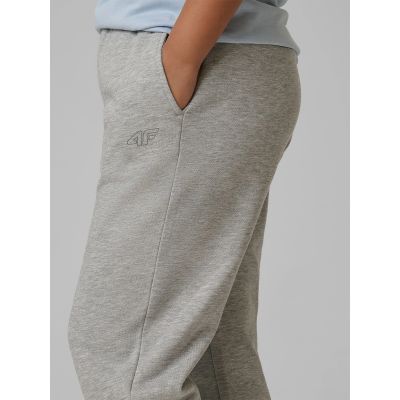 5. Boys' jogger sweatpants 4F 4FJRMM00TTROM1823-25M