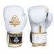 10. 10oz Boxing Gloves - Spirit - Valor Series