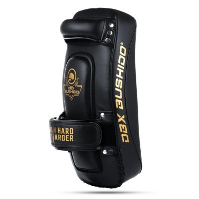 5. PAO Gold Thai Shields pair | ProFighter | DBX Bushido