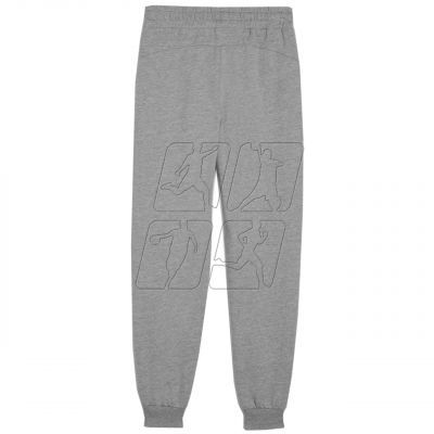 3. Puma Team Goal Jr pants 658601 06