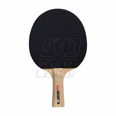 9. Cornilleau Sport 100 table tennis bats