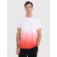 Men's regular printed T-shirt 4F 4FRAW25TTSHM3226-62S