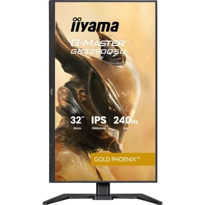 45. IIYAMA monitor 80.0 cm (31.5") GB3290QSU-B1 16:9 2xHDMI+DP+2xUSB-C