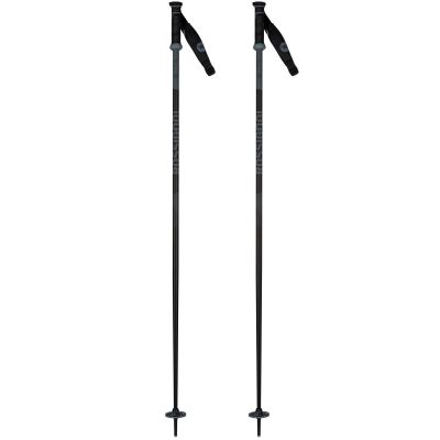 ROSSIGNOL TACTIC SAFETY Grey Ski Poles - gray/black