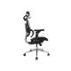5. Ergonomic Office Chair + Headrest/Armrests Gray Solid Retail Equipment