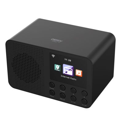 16. CAMRY CR 1918 Wi-Fi Radio