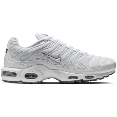 Nike Air Max Plus M 604133-139 Shoes