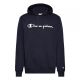 5. Champion Men's Hooded Sweatshirt 221809.BS501
