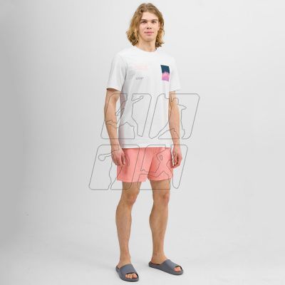 4. Swim shorts 4F M 4FWSS24UBDSM088 70S