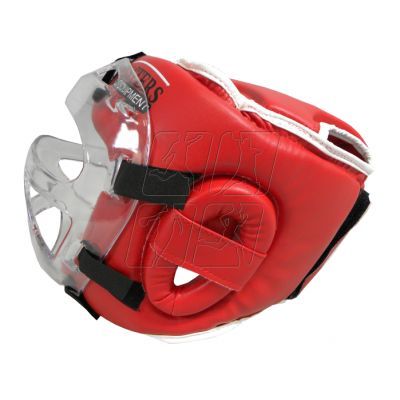 15. Masters boxing helmet with mask KSSPU-M (WAKO APPROVED) 02119891-M02