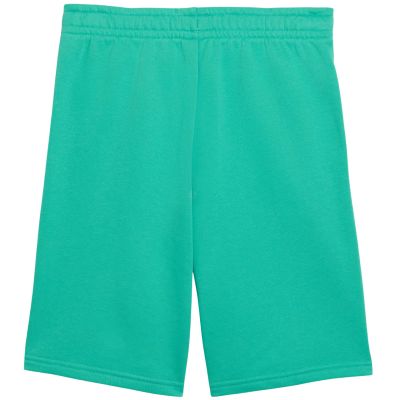 2. Puma ESS Small No. 1 Logo Kids Shorts Green 692974 40