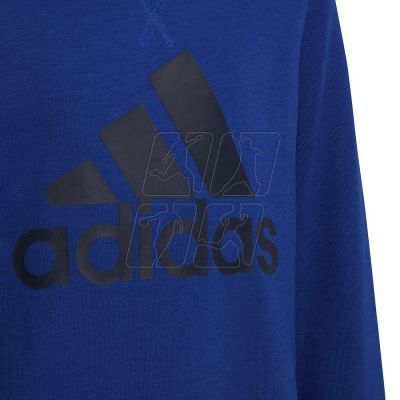 4. Sweatshirt adidas B BL Swt Jr HE9285