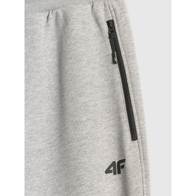 7. Men's jogger sweatpants 4F 4FRMM00TTROM2020-27M