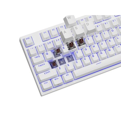 12. GENESIS Thor 404 TKL Keyboard Gaming USB QWERTY American International White